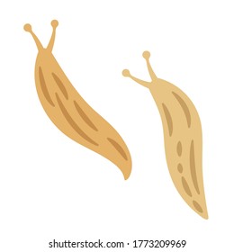 Illustration Of Slug On White Background.