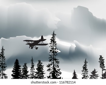 illustration with small airplane above black forest