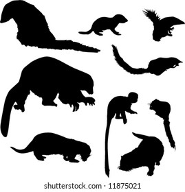 illustration with small animal silhouettes collection