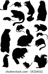 illustration with small animal silhouettes collection