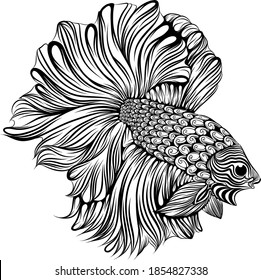 The Illustration Of The Small Beta Fish With The Big And Long Tail The Body Full Of Zentangle 