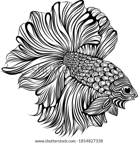 The illustration of the small beta fish with the big and long tail the body full of zentangle 