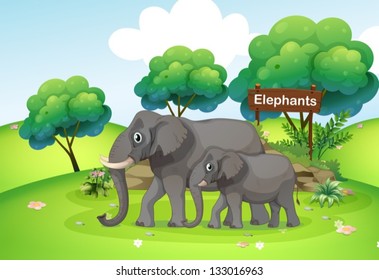 Illustration of a small and a big elephant