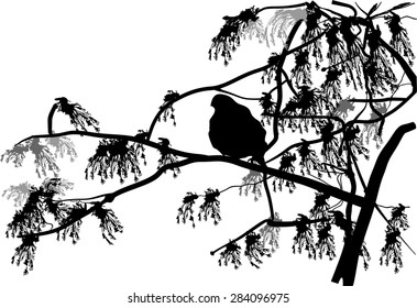 ilustración con aves pequeñas en ramas de árboles en floración
