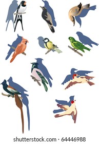 illustration with small birds isolated on white background