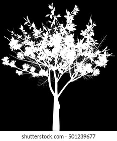 illustration with small blossoming tree with large flowers isolated on black background