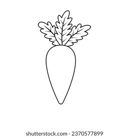 The Illustration of Small Carrot Line Art