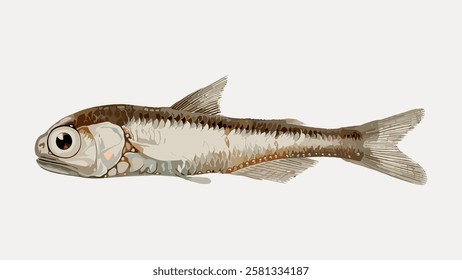 Illustration of a small fish with detailed scales and fins. The fish is depicted in a side view, showcasing its streamlined body and large eye. Vintage fish illustration isolated on white, vector.