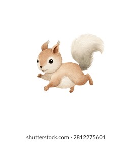Illustration of a small furry squirrel