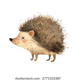 Illustration of a small hedgehog