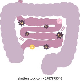 Illustration Of The Small Intestine With An Imbalance Of Bacteria.