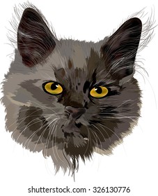 ilustración con pequeño retrato de gato ligero aislado en fondo blanco