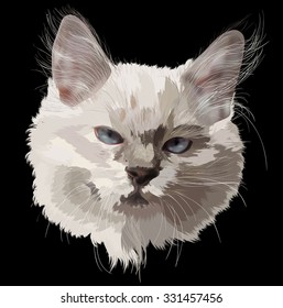 illustration with small light cat portrait isolated on black background