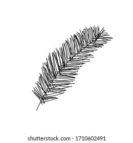 illustration of small line art. Palm leave, isolated white background