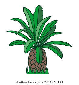 Illustration of a small, low palm tree, an ancient plant, vector icon