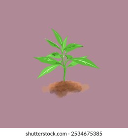 illustration of a small plant that has just grown and sprouted