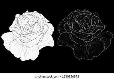 illustration with small rose sketch and outline isolated on black background
