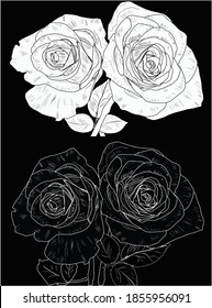 illustration with small rose sketch and outline isolated on black background