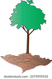 the illustration of small tree on the top of the soil.