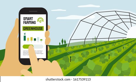 Illustration of smart farming, remote control farm, smartphone in hands. Innovation technology or greenhouse in agriculture. Analysis data, graph on device. Template for banner, poster, flyer, layout 