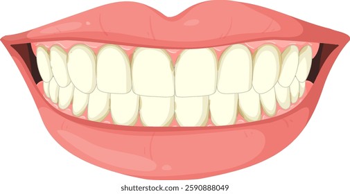 Illustration of a smiling mouth with teeth