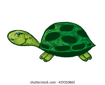 Illustration Smiling Turtle Green Shell Stock Vector (Royalty Free ...