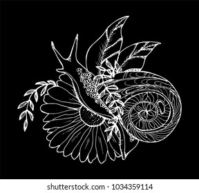 An illustration of a snail crawling through a flower. Black and white drawing. Chalk on a blackboard.