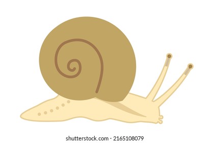 Illustration of a snail Flat