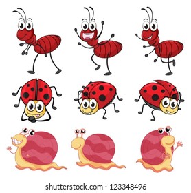 Illustration of a snail, a ladybug and an ant on a white background