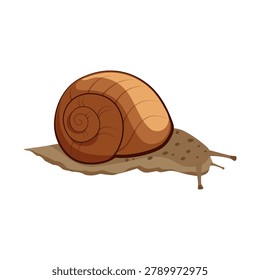 Illustration of a Snail on the Ground