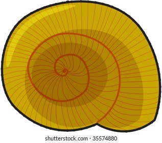 ilustración de caracol en blanco