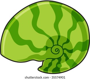 illustration of snail shell on white