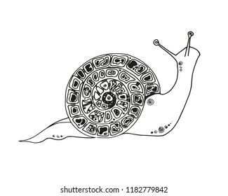 The illustration of the snail. Vector. EPS 10