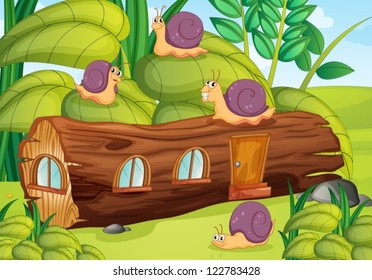 Illustration of snails and wood house in green nature