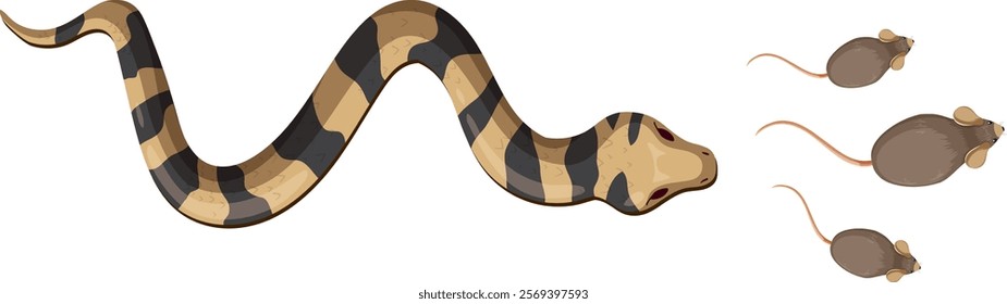 Illustration of a snake approaching three mice