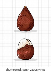 The Illustration Of Snake Fruit