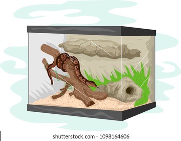 Illustration of a Snake Inside a Terrarium