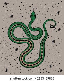 An illustration of a snake inspired by vintage tattoo art.