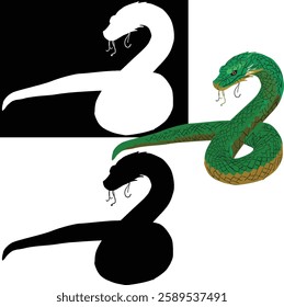 illustration with snake isolated on white background