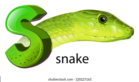 Illustration of a snake and a letter S on a white background 