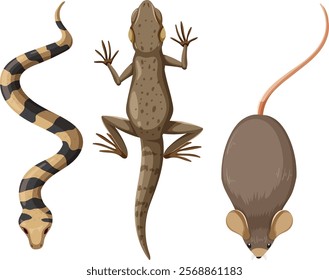 Illustration of a snake, lizard, and mouse together