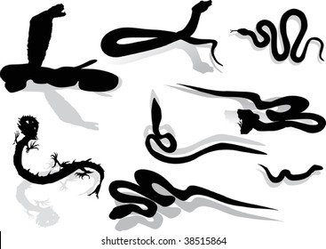 illustration with snake silhouette collection isolated on white background