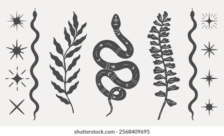 Illustration of a snake surrounded by stars and leaves. The snake is central, with stars and leaves flanking it. Stars, snake, and leaves create a mystical vibe. Spirituality vector set.