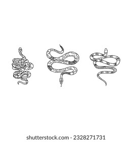 illustration, snake, vector, animal, wildlife, serpent, wild, black, design, nature, reptile, art, graphic, viper, background, isolated, cobra, python danger hand drawn doodle illustrations vector set