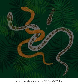  Illustration snakes with palm leaves, vector graphics. Stylish vintage illustration. Wallpaper design, textiles, postal packaging. - Illustration pattern