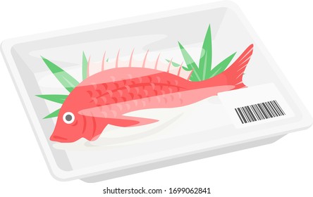 Illustration of a snapper in a pack.