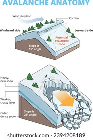 illustration snow avalanche anatomy diagram