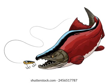 Illustration of Sockeye Salmon Fish Catching the Fishing Lure