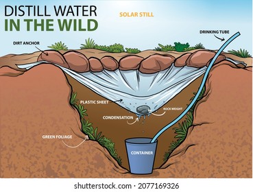 illustration of solar water still, how to distill water in the wild infographic - vector