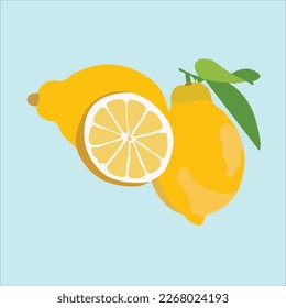 Illustration of some beautiful slice Lemon
